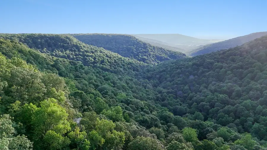 354 Little Trees Ramble, Monteagle, TN 37356 - Image #3