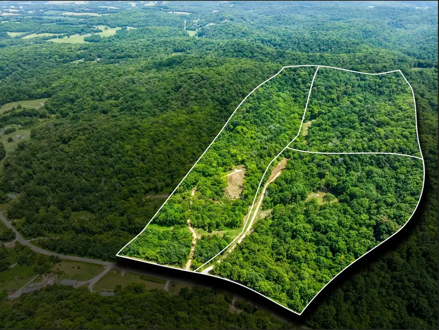 0 Preacher Holt Rd, Mount Pleasant, TN 38474 - Image #2