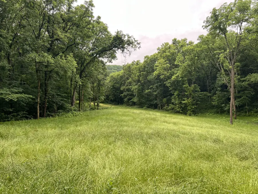 0 Preacher Holt Rd, Mount Pleasant, TN 38474 - Image #2