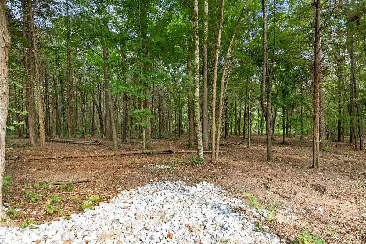 4407 Highway 231, Mc Ewen, TN 37101 - Image #1