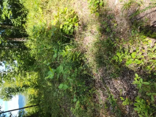 0 Tomahawk Rd, Jamestown, TN 38556 - #1