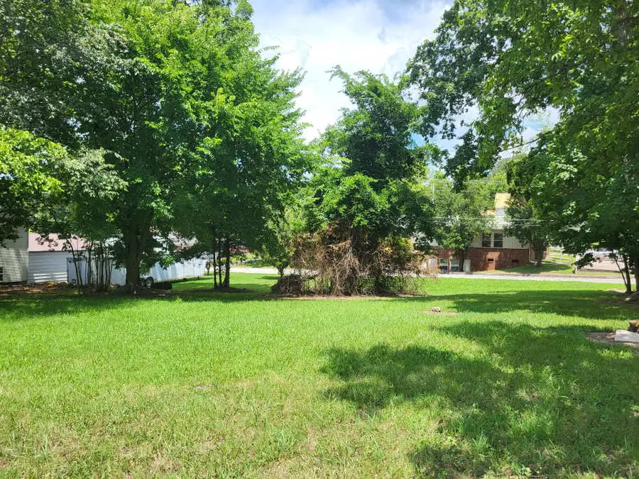 1 Maple Street, Camden, TN 38320 - Image #2