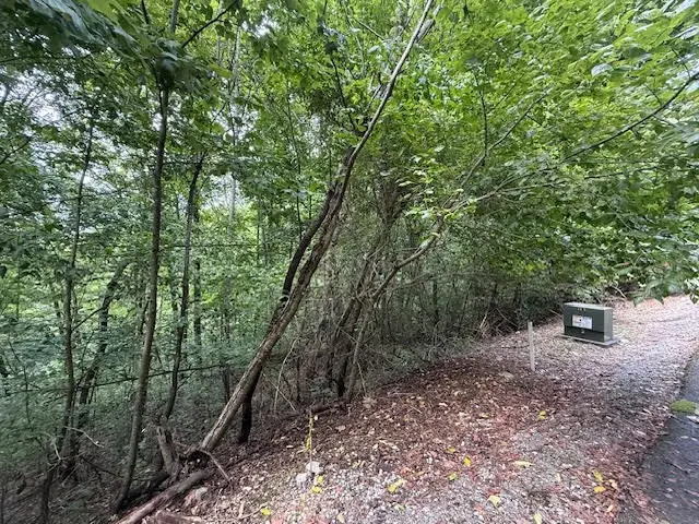 #3