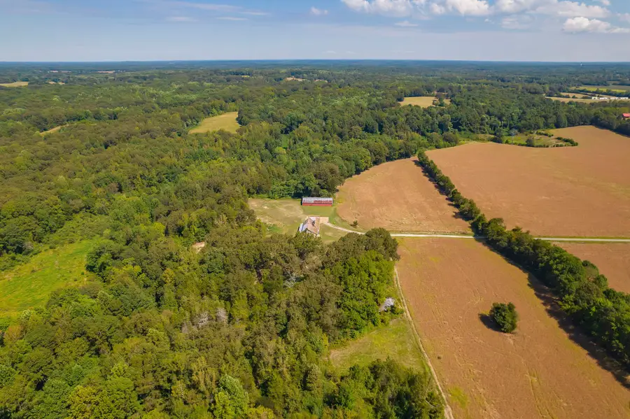 290 Leeford Ln, Cedar Grove, TN 38321 - Image #3