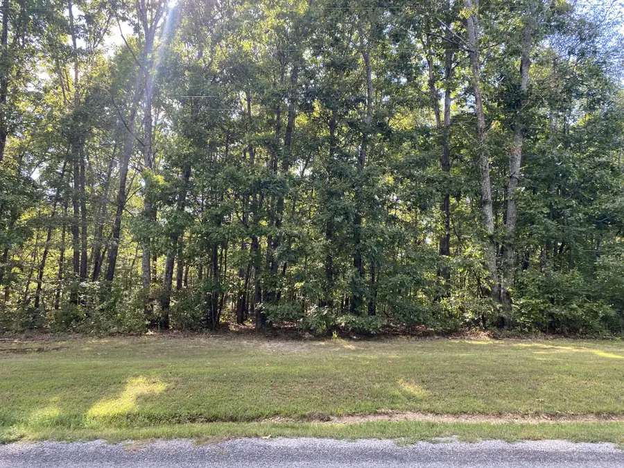 0 Redstone Dr, Summertown, TN 38483 - Image #3