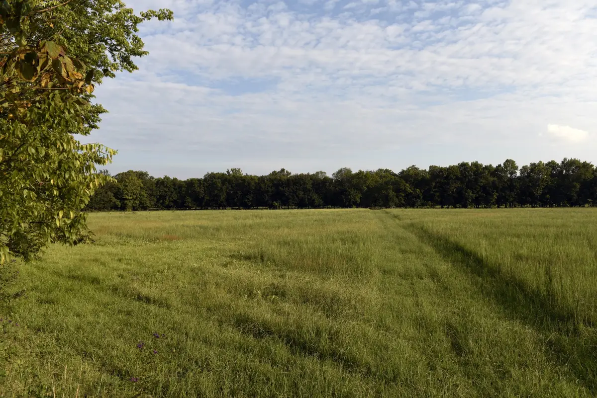 2081 Wilson Pike, Franklin, TN 37067 - Image #1