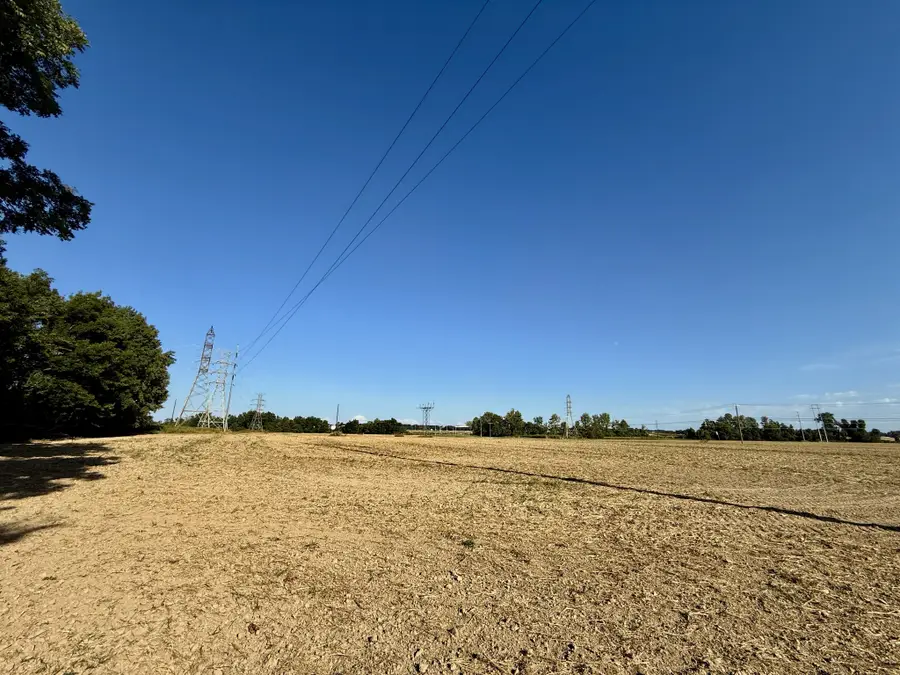 1469 S Main St, Covington, TN 38019 - #2