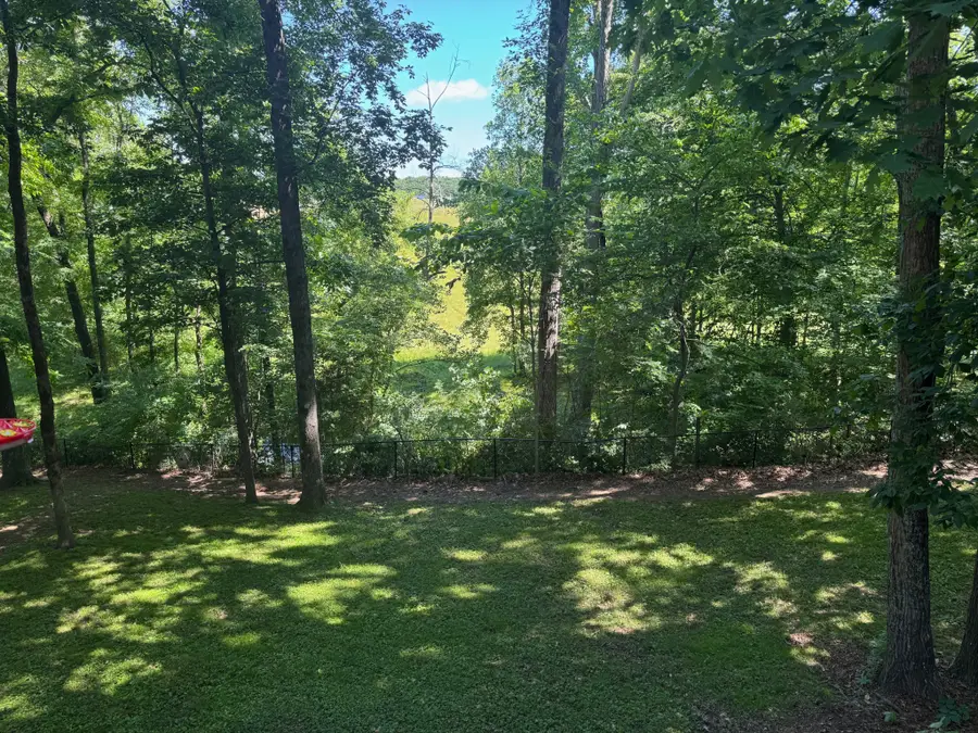 7244 Knottingham Dr, Fairview, TN 37062 - Image #3