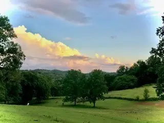 #3