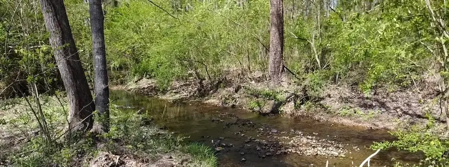 1260 Toy Denny Rd, Bradyville, TN 37026 - #3