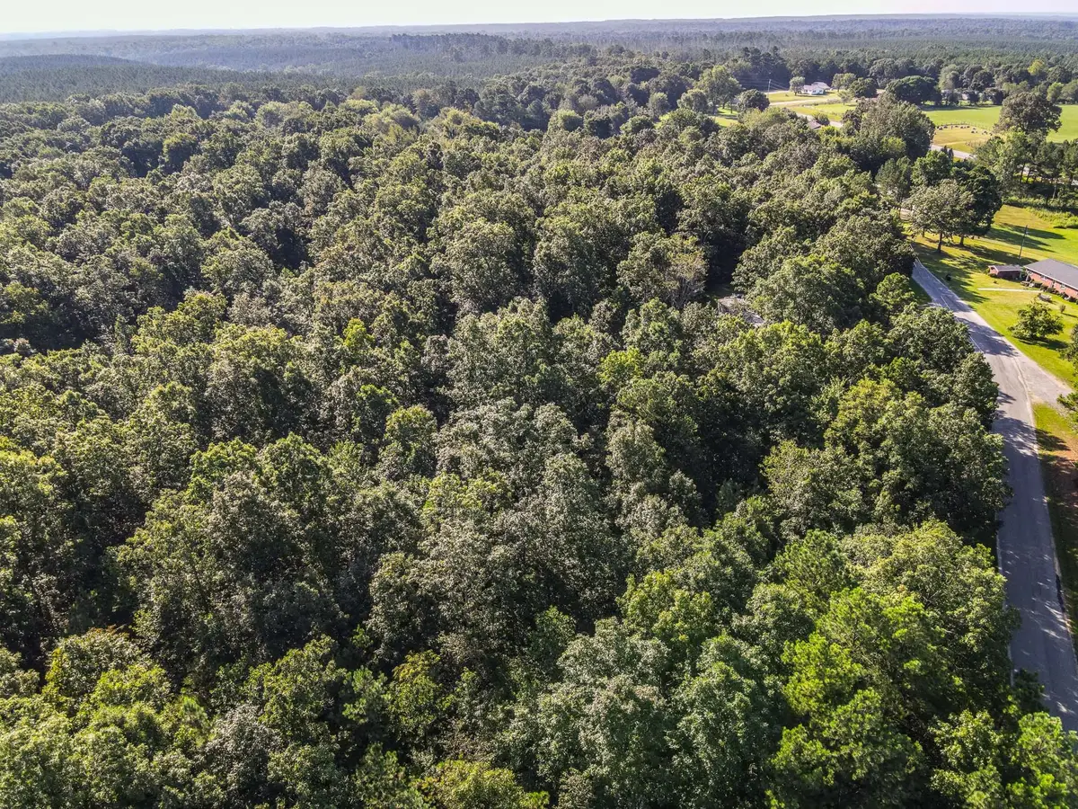 0 Brush Creek Rd, Hohenwald, TN 38462 - Image #1