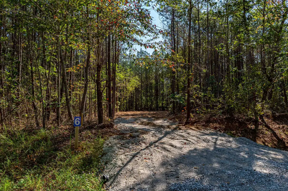 0 Brush Creek Rd, Hohenwald, TN 38462 - Image #1