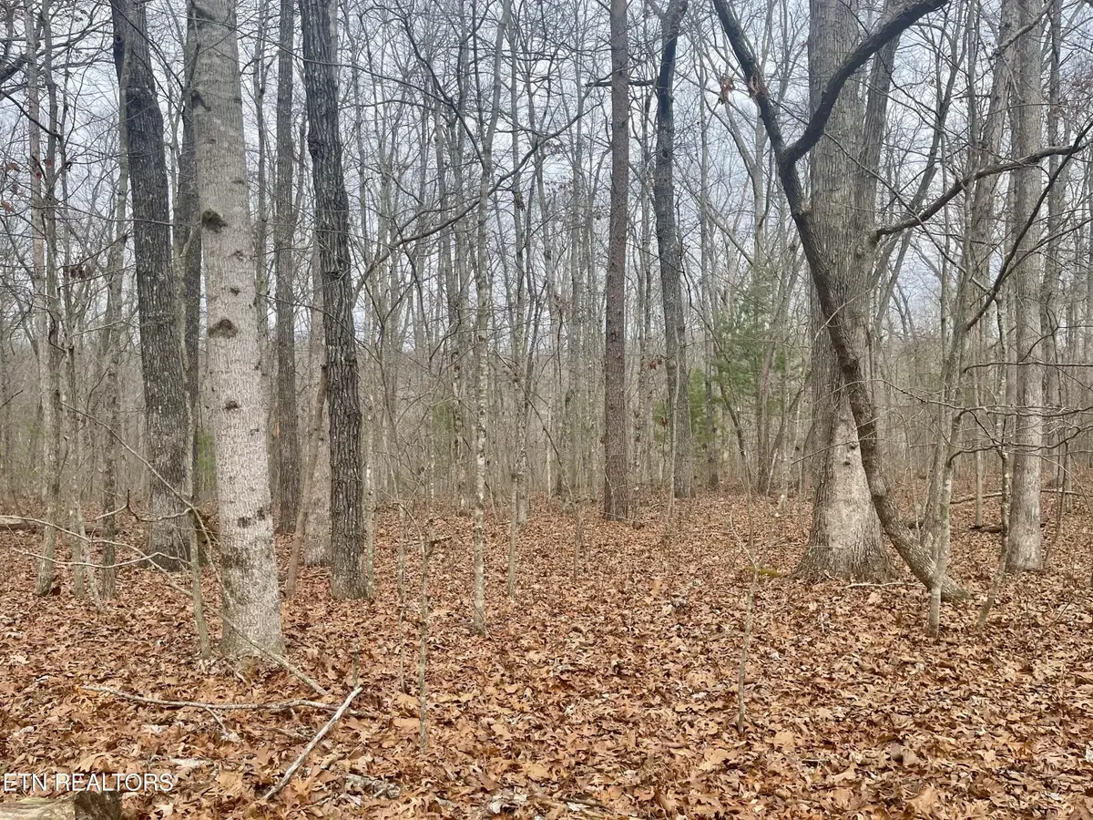 33 Leeds Terrace, Crossville, TN 38558 - Image #1