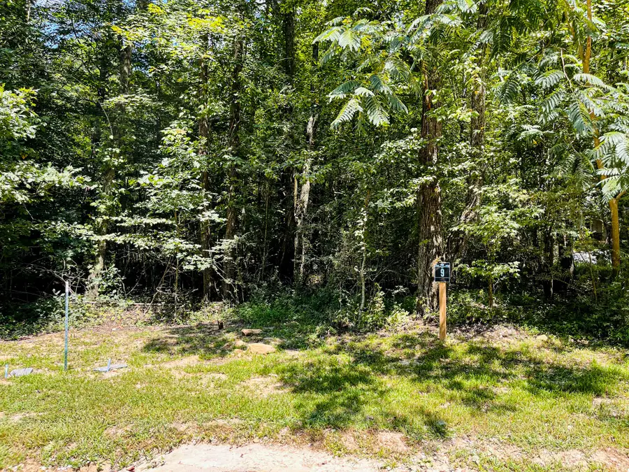 84 Sunset Bluff Way, Monteagle, TN 37356 - Image #2