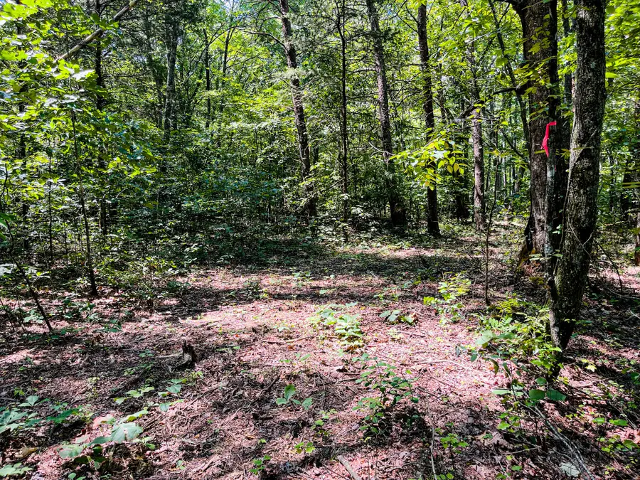 84 Sunset Bluff Way, Monteagle, TN 37356 - Image #3