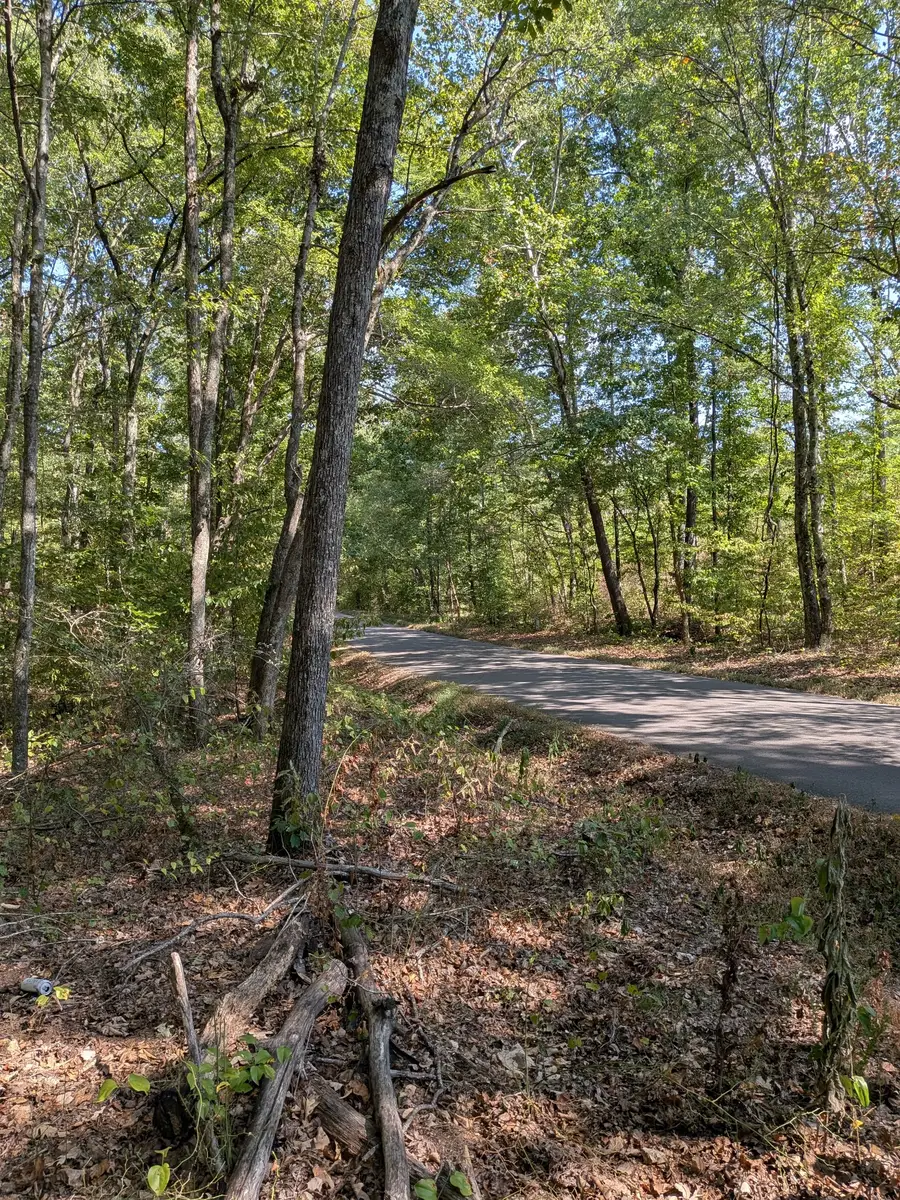 0 Richland Harbor Rd, Waverly, TN 37185 - Image #2