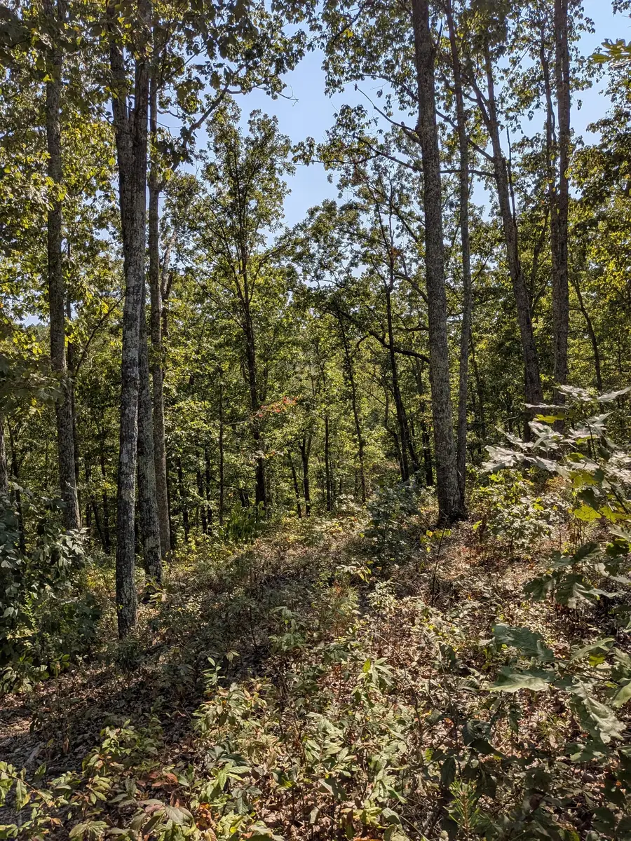 0 Richland Harbor Rd, Waverly, TN 37185 - Image #3