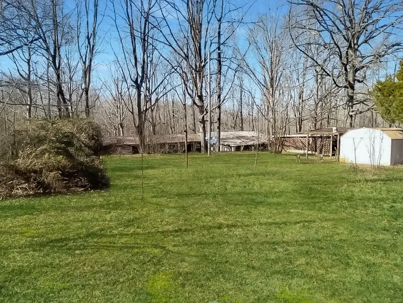 115 Peachwood Ln, Holladay, TN 38341 - Image #3