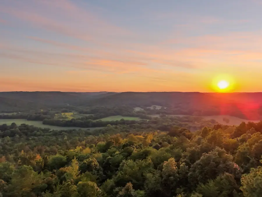 589 Hester Porter Rd, Tuscumbia, AL 35674 - Image #2