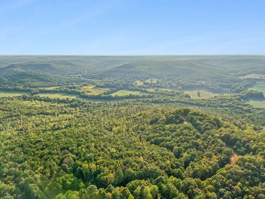 589 Hester Porter Rd, Tuscumbia, AL 35674 - Image #3