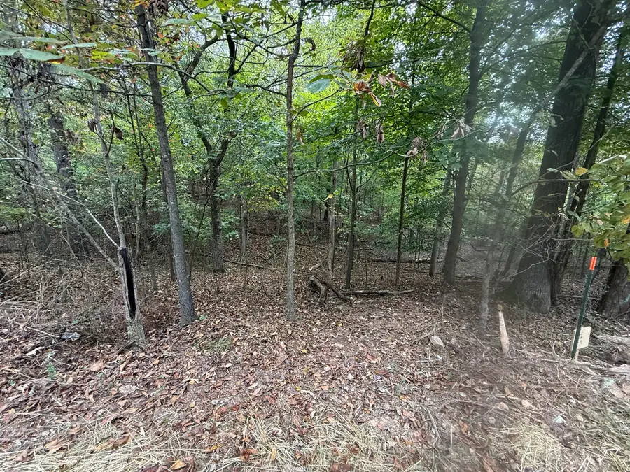 0 Dennis Dr, Kingston, TN 37763 - Image #3