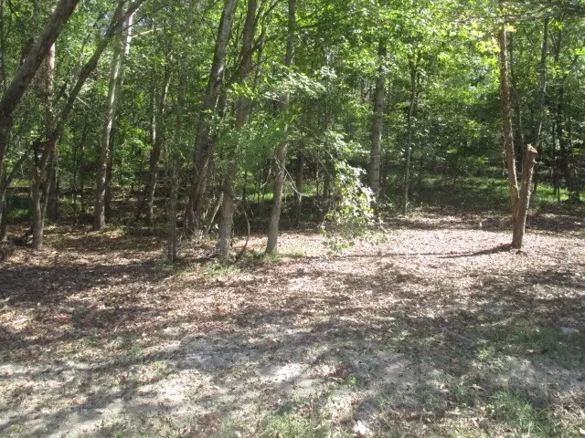 0 Reese Road, Bethpage, TN 37022 - Image #1