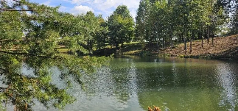 #2