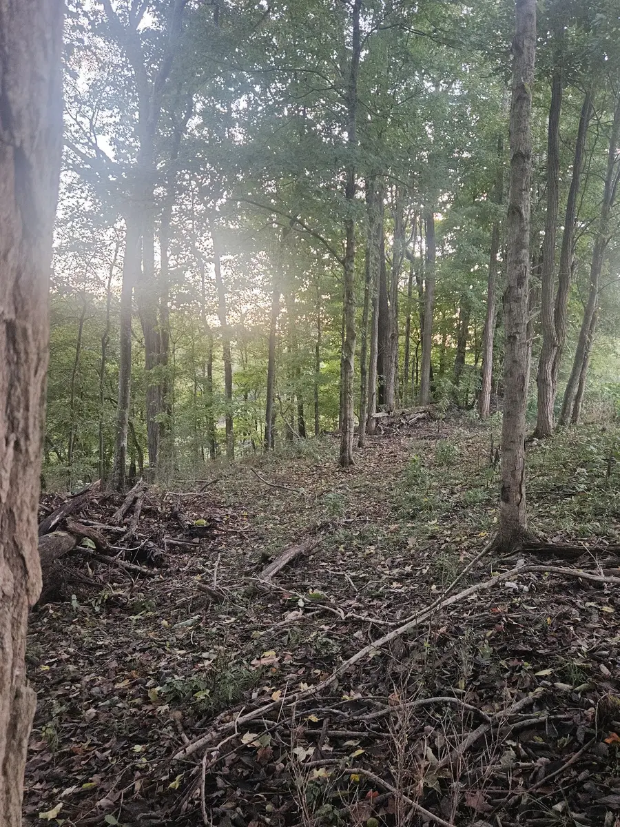 200 S Cedar St, Cross Plains, TN 37049 - Image #3