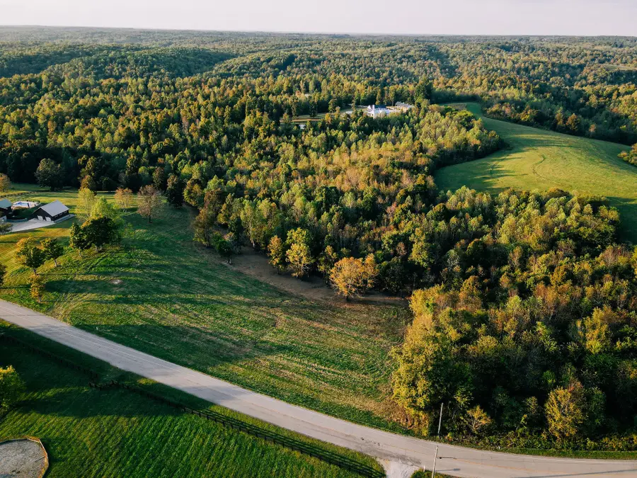 7810 W Lick Creek Rd, Primm Springs, TN 38476 - Image #3