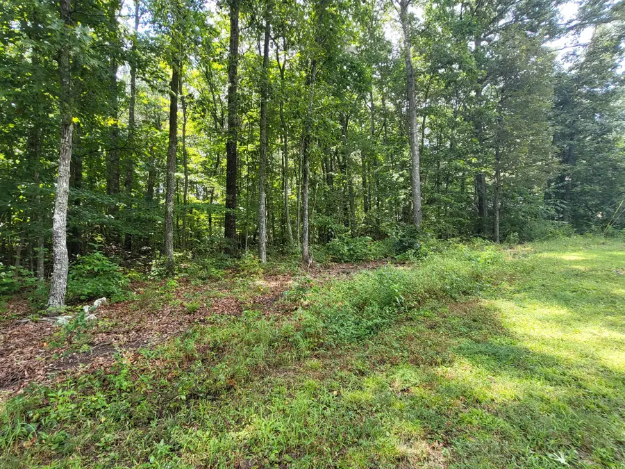 207 Saint George Dr, Crossville, TN 38558 - #2