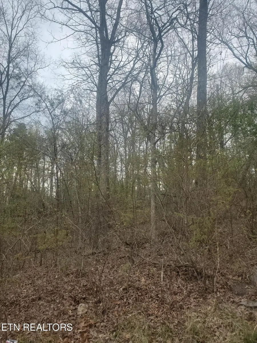 #3