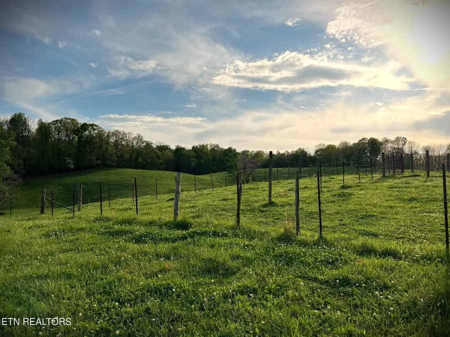 60 3 Island Rd, Walling, TN 38587 - Image #2