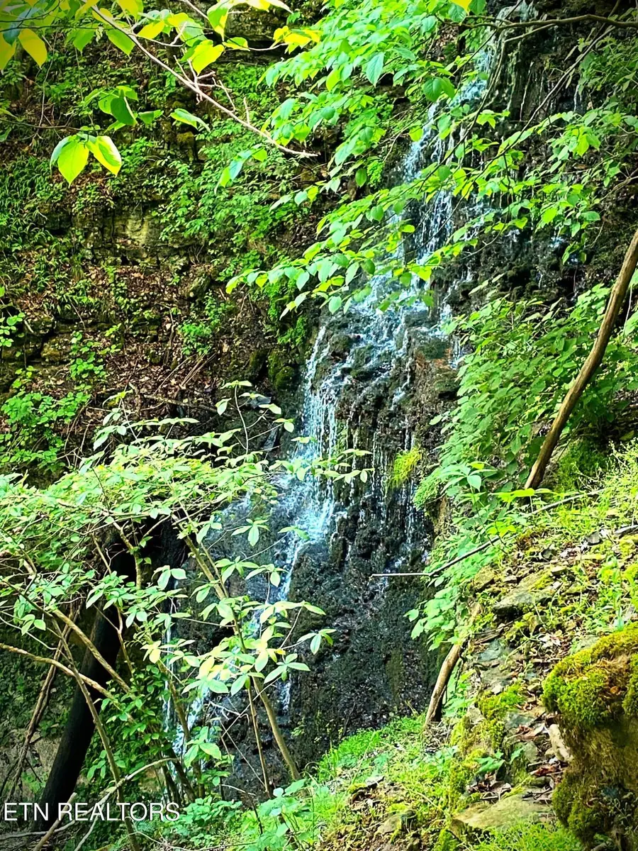 60 3 Island Rd, Walling, TN 38587 - Image #3