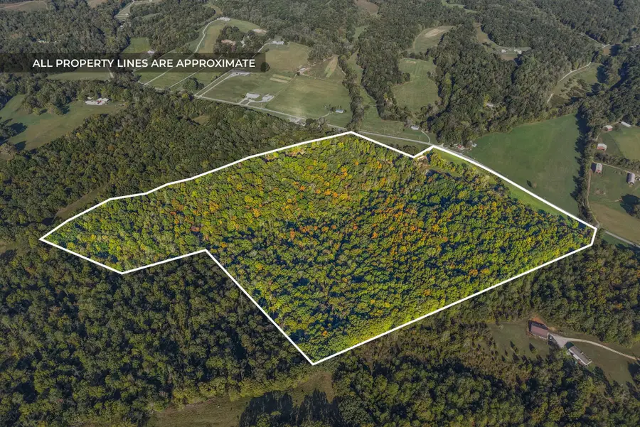 1740 Little Bartons Creek Rd, Cumberland Furnace, TN 37051 - Image #3