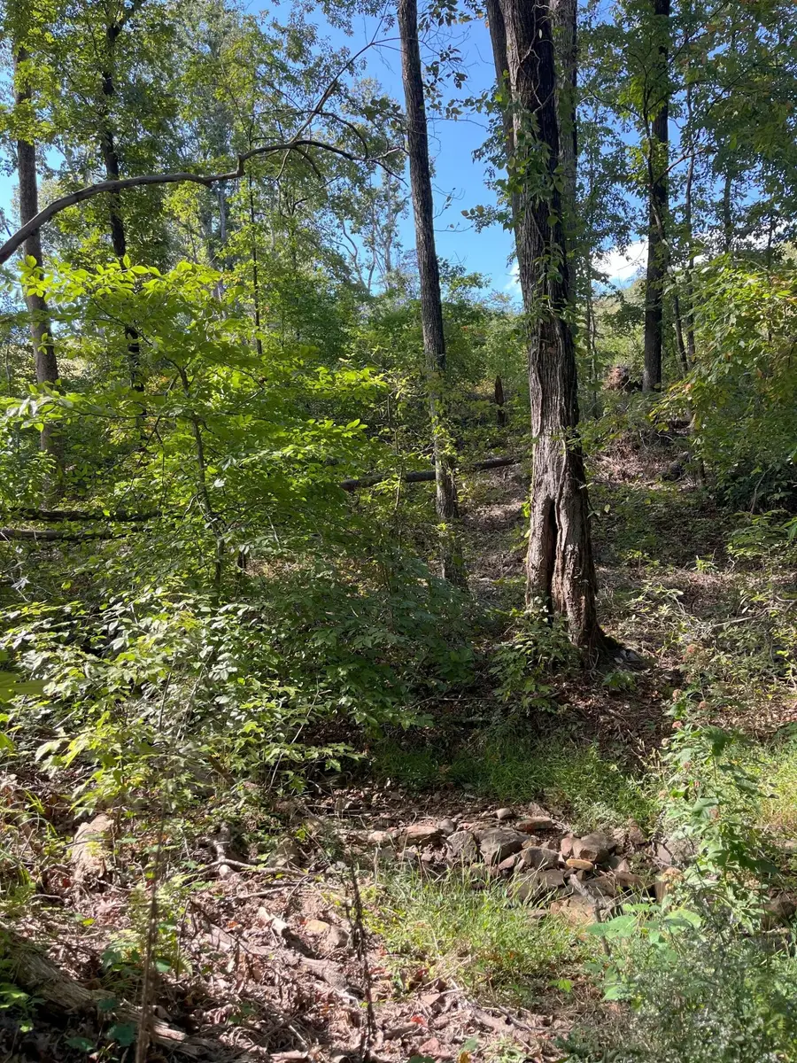 0 N Dug Gap Road, Dalton, GA 30720 - Image #3