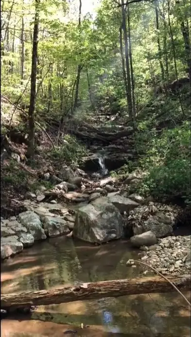 103 Harrison Ferry Road, McMinnville, TN 37110 - Image #3