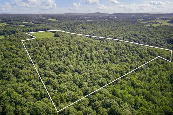 0 Creed Wright Rd, Walling, TN 38587