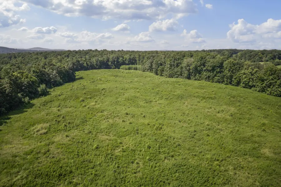 0 Creed Wright Rd, Walling, TN 38587 - Image #3