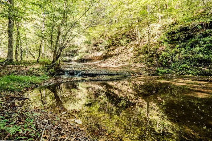 0 S Randall Rd, Westpoint, TN 38486 - Image #2