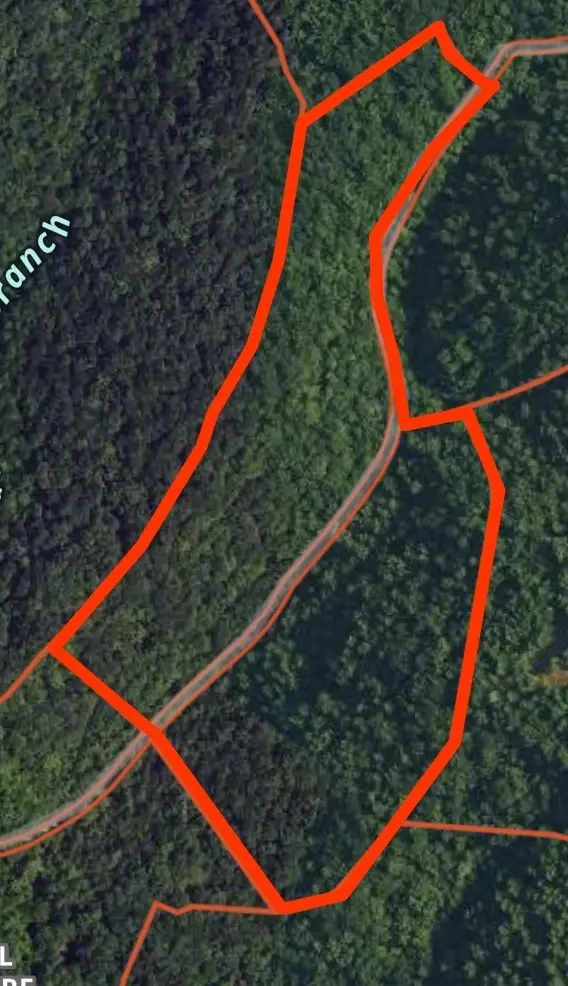 29 Seals Hollow Rd, Woodbury, TN 37190 - Image #1