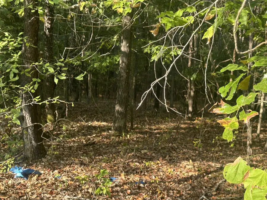 5865 Enville Rd, Henderson, TN 38340 - Image #2