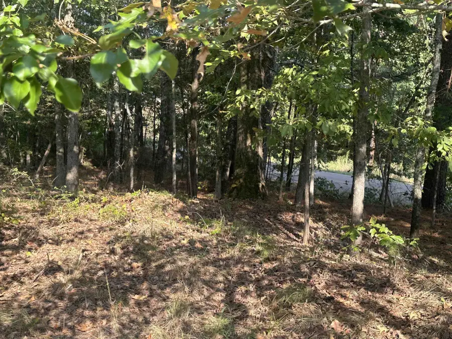 5865 Enville Rd, Henderson, TN 38340 - Image #3