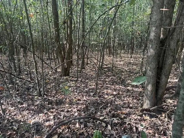 #2
