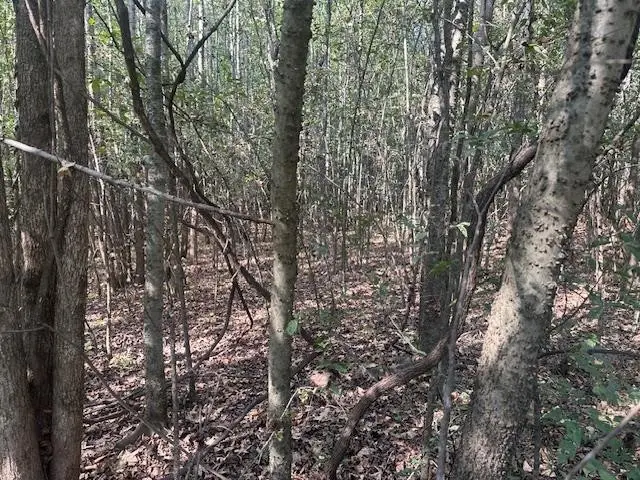 #3
