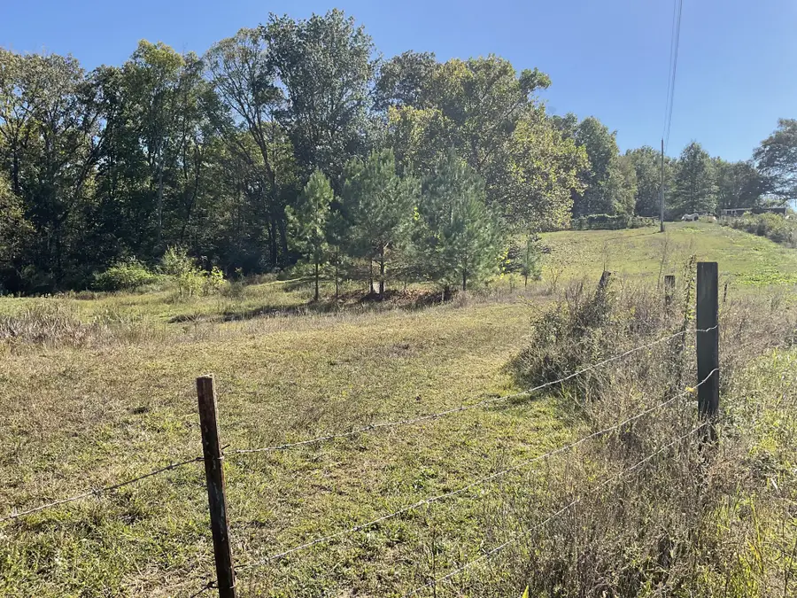 3318 Burr Rd, Springfield, TN 37172 - Image #2