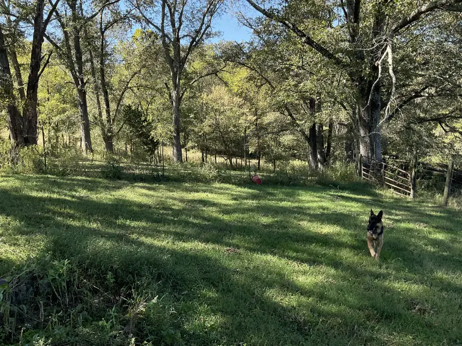 3318 Burr Rd, Springfield, TN 37172 - Image #3