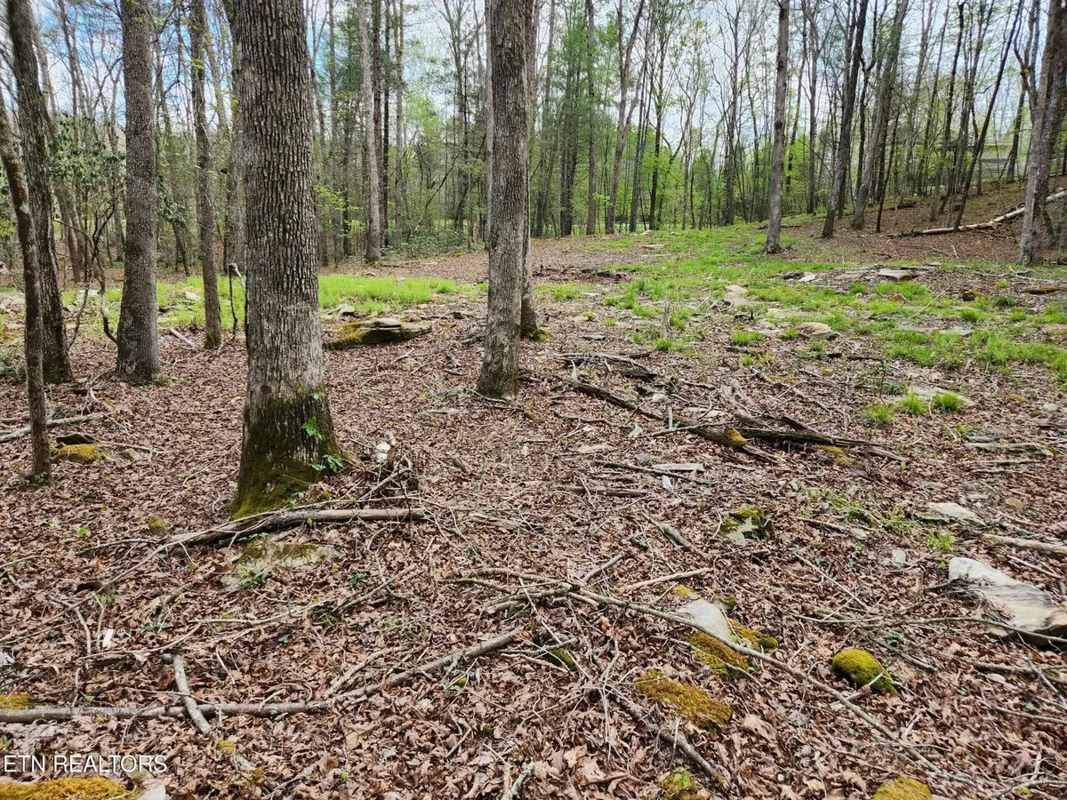 206 Goodstock Road Rd, Crossville, TN 38555 - Image #1