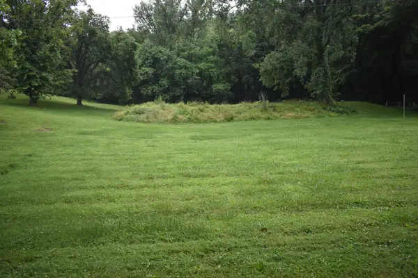 400 Forrester Hollow Ln, Granville, TN 38564