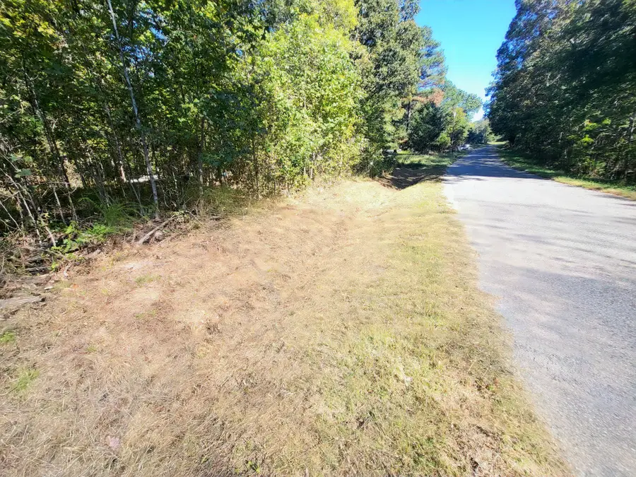 4 Chestnut Hill Rd, Eva, TN 38333 - Image #2