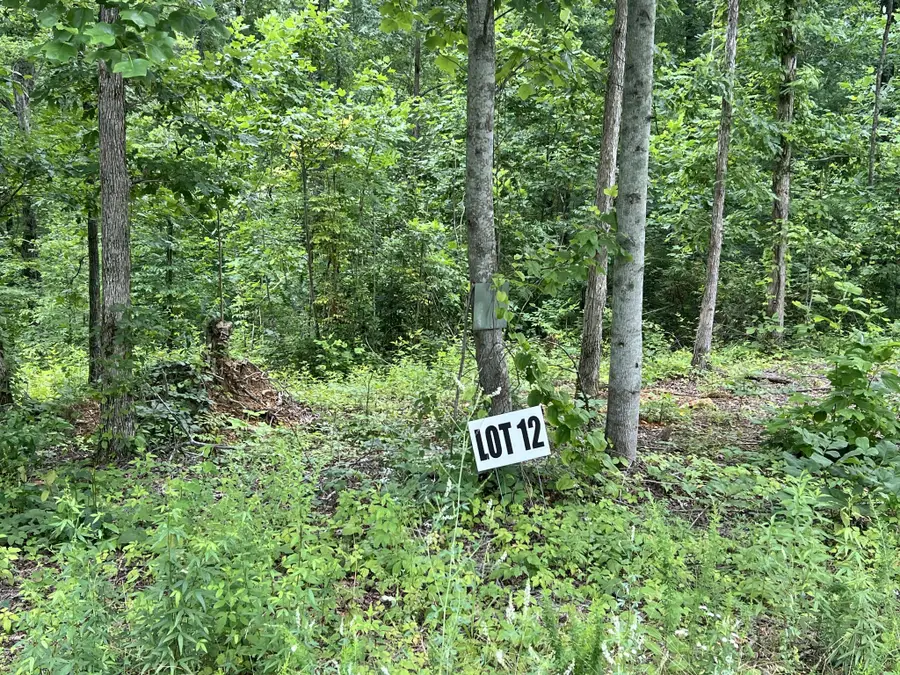 0 Slaughter Rd, Primm Springs, TN 38476 - Image #2